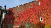 Budynki ZOL